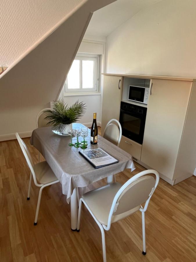 Bel Appartement Centre Climatise Parking Prive Colmar Exterior photo