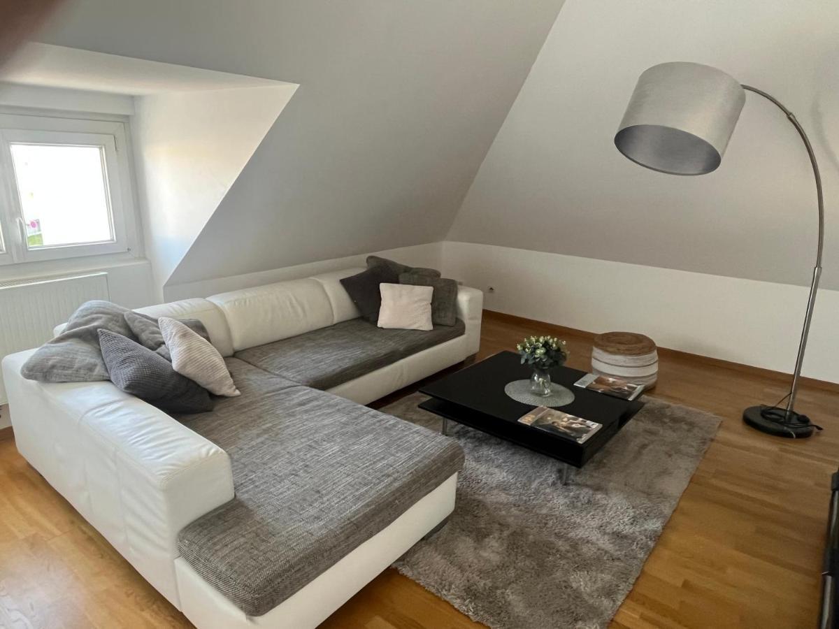 Bel Appartement Centre Climatise Parking Prive Colmar Exterior photo